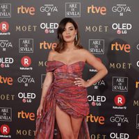 Dulceida en la alfombra roja de los Premios Goya 2018