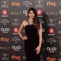 Sara Sálamo en la alfombra roja de los Premios Goya 2018