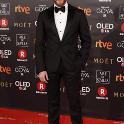 Álvaro Cervantes en la alfombra roja de los Premios Goya 2018