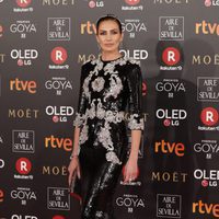 Nieves Álvarez en la alfombra roja de los Premios Goya 2018