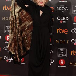 Marisa Paredes en la alfombra roja de los Premios Goya 2018