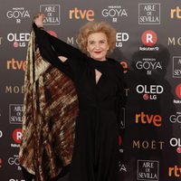 Marisa Paredes en la alfombra roja de los Premios Goya 2018