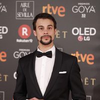Ferran Vilajosna en la alfombra roja de los Premios Goya 2018
