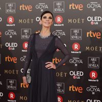 Maribel Verdú en la alfombra roja de los Premios Goya 2018