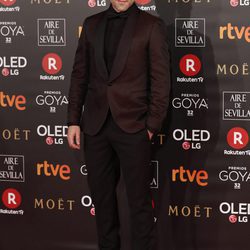 Unax Ugalde en la alfombra roja de los Premios Goya 2018