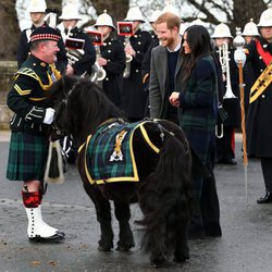 El Príncipe Harry y Meghan Markle con un poni, la mascota del Regimiento Real de Escocia