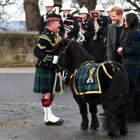 El Príncipe Harry y Meghan Markle con un poni, la mascota del Regimiento Real de Escocia