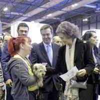 La Reina Sofía acaricia a un perro en la feria 100x100 Mascota