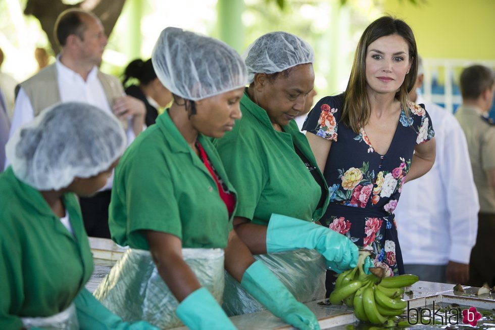 La Reina Letizia comprueba cómo trabajan unas mujeres productores en una cooperativa de producción de banano orgánico en República Dominicana