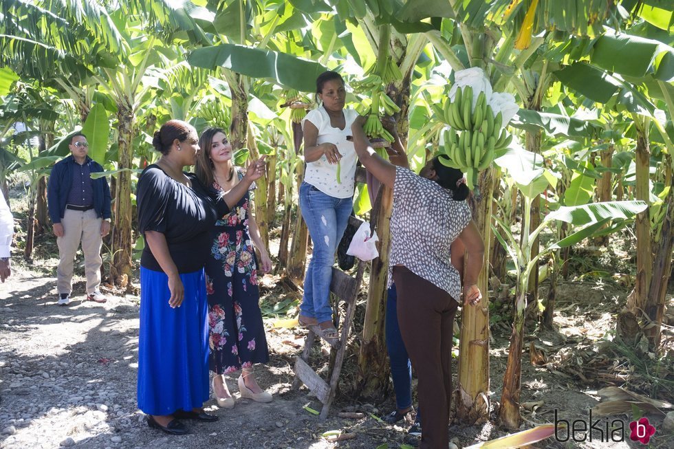 La Reina Letizia visita una cooperativa de productores de banano orgánico en República Dominicana