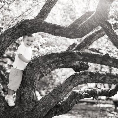 Oscar de Suecia subido a un árbol muy sonriente