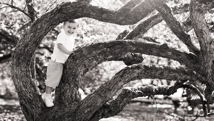Oscar de Suecia subido a un árbol muy sonriente