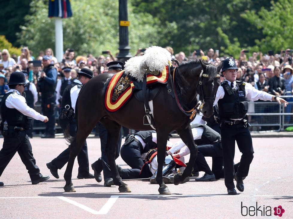 Charles Guthrie cayendo de su caballo durante el desfile del Trooping The Colour 2018