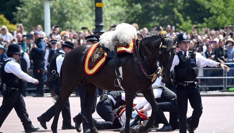 Charles Guthrie cayendo de su caballo durante el desfile del Trooping The Colour 2018