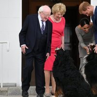 El Príncipe Harry y Meghan Markle acarician a los perros del Presidente de Irlanda