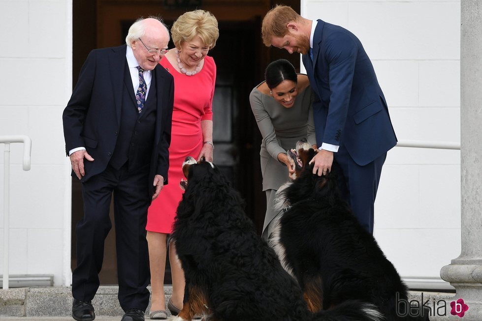 El Príncipe Harry y Meghan Markle acarician a los perros del Presidente de Irlanda