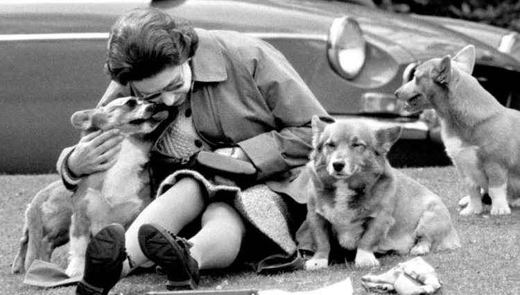 La Reina Isabel ofrece un entrañable posado con sus perros