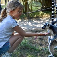 Josefina de Dinamarca con un lemur