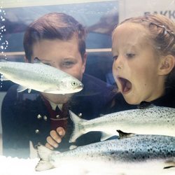 Josefina de Dinamarca abre la boca al ver un pez en la fábrica de salmón de Islas Feroe