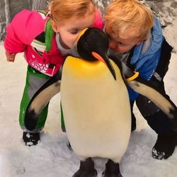 Jacques y Gabriella de Mónaco dando un beso a un pingüino