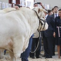 Los Reyes Felipe y Letizia en la Feria Agropecuaria de Salamanca y la exposición de Ganado Puro