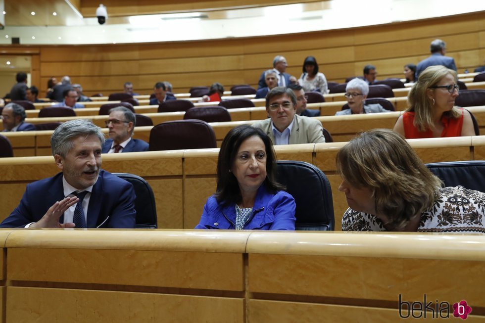 Fernando Grande-Marlaska y Dolores Delgado en el Senado
