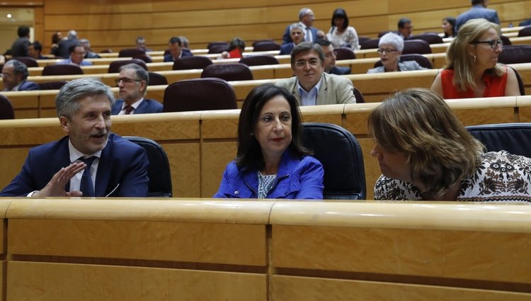 Fernando Grande-Marlaska y Dolores Delgado en el Senado