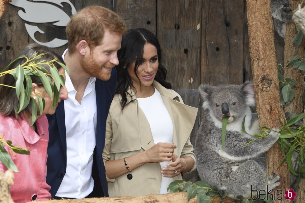 El Príncipe Harry y Meghan Markle con un koala en Sydney