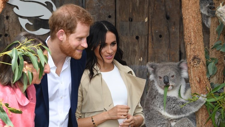 El Príncipe Harry y Meghan Markle con un koala en Sydney