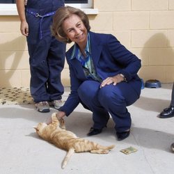 La Reina Sofía con un gato