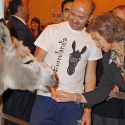 La Reina Sofía dando de comer a un burro