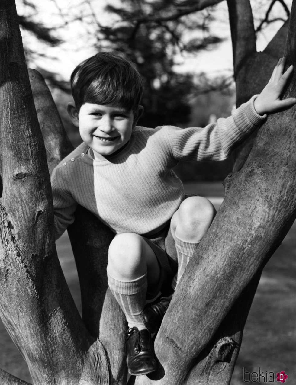 El Príncipe Carlos de pequeño subido a un árbol