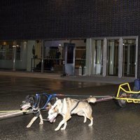 Ingrid Alexandra lleva a Haakon de Noruega en un transporte tirado por perros