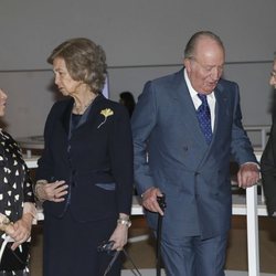 Los Reyes Juan Carlos y Sofía charlando animadamente con Lucía Méndez y Fernando Ónega