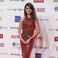 Penélope Cruz en la alfombra roja de los Premios Forqué 2019