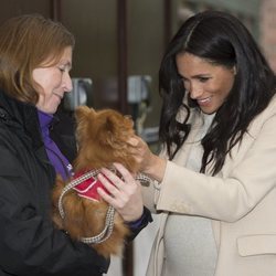 Meghan Markle acariciando a un perro durante su visita a un centro de acogida