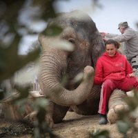 La Princesa Estefanía de Mónaco posa con un elefante en un refugio de animales