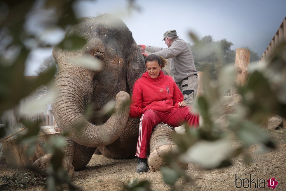 La Princesa Estefanía de Mónaco posa con un elefante en un refugio de animales
