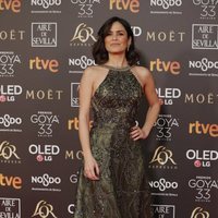 Elena Sánchez en la alfombra roja de los Premios Goya 2019