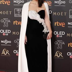 Tamara Falcó en la alfombra roja de los Premios Goya 2019
