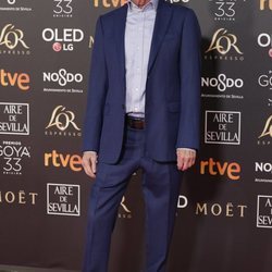 Juan Diego en la alfombra roja de los Premios Goya 2019