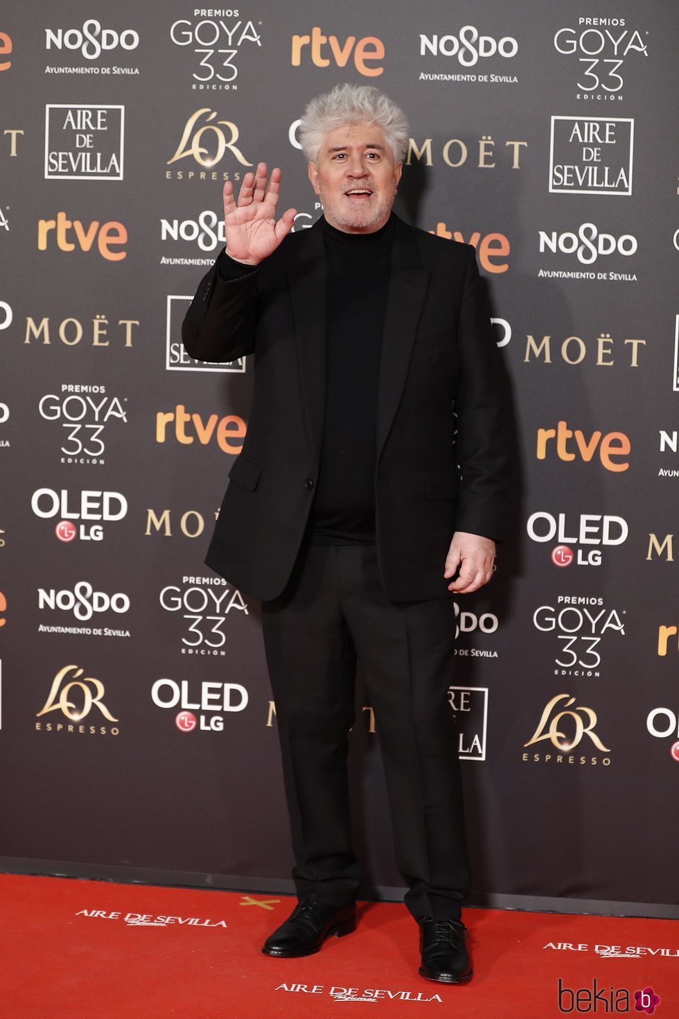 Pedro Almodóvar en la alfombra roja de los Premios Goya 2019