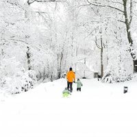 Carlos Felipe de Suecia disfruta de la nieve en Estocolmo con sus hijos Alejandro y Gabriel