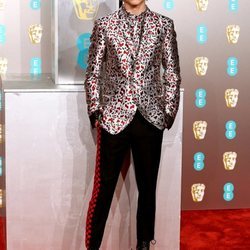 Timothee Chalamet en la alfombra roja de los Premios BAFTA 2019