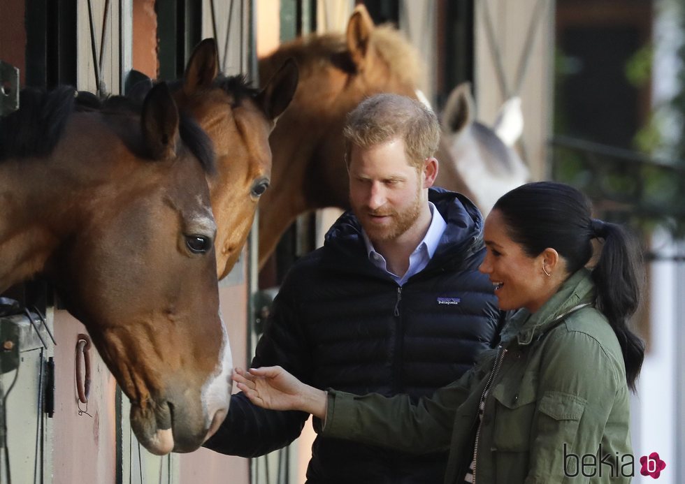 El Príncipe Harry y Meghan Markle acarician un caballo durante su visita a Marruecos
