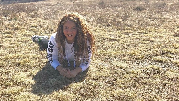 Shakira tumbada en el campo