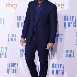 Antonio Banderas en la alfombra roja de 'Dolor y gloria'