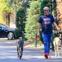 Jorge Javier Vázquez pasea dos perros durante su recuperación