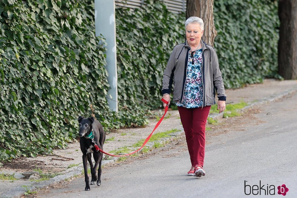 María, madre de Jorge Javier Vázquez, pasea uno de sus perros
