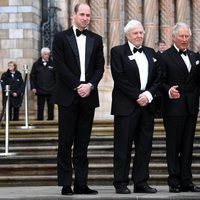 El Príncipe Carlos, el Príncipe Guillermo, el Príncipe Harry y David Attenborough en el estreno de 'Our Planet'